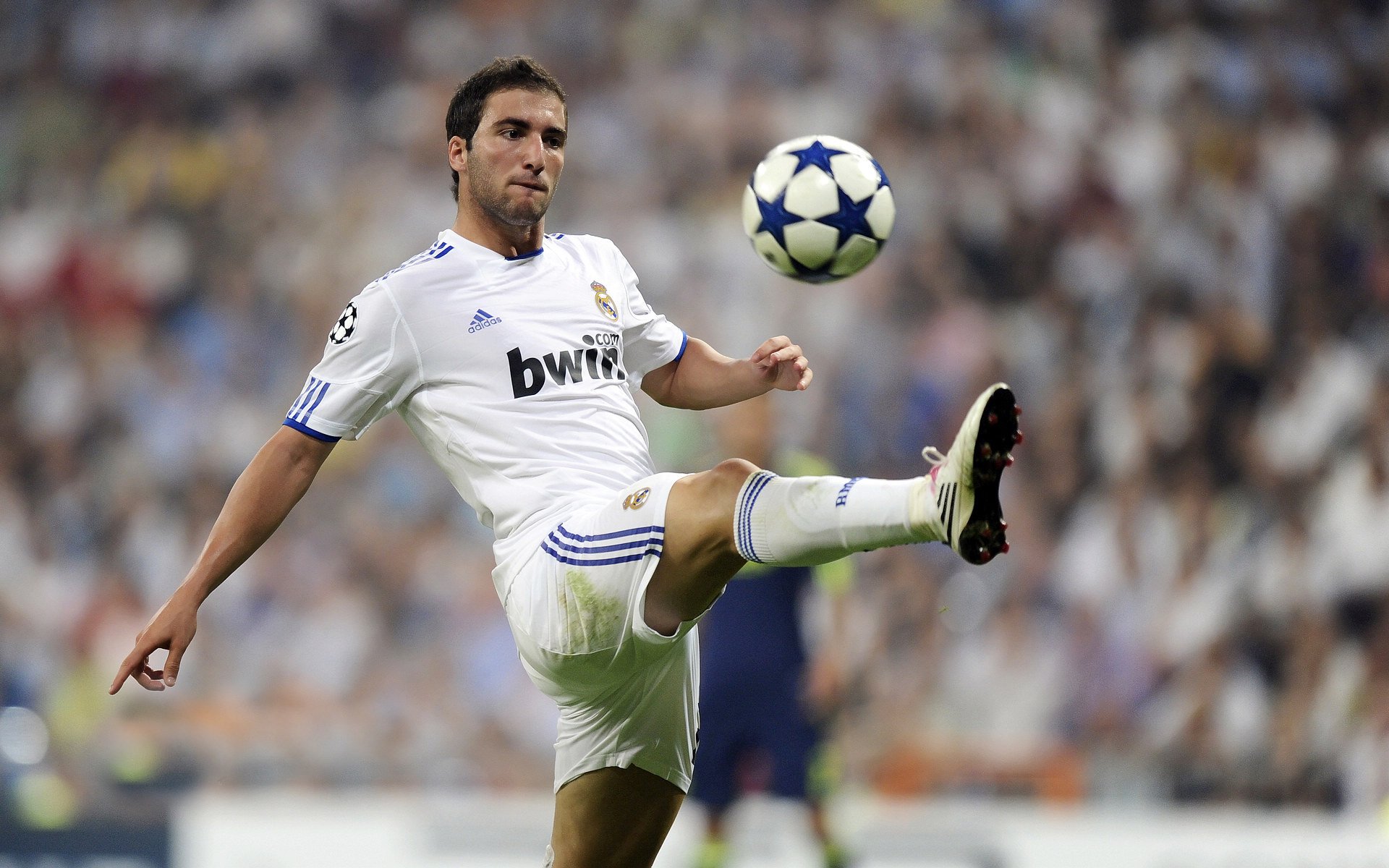 【裁判内幕】比赛中的犯规判罚流程详解，裁判技术犯规动作